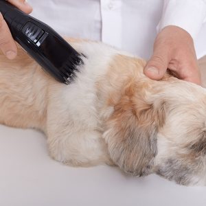 Cortes a maquina y combinados