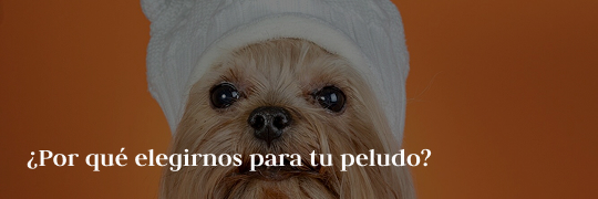 ¿Por que elegirnos para tu peludo